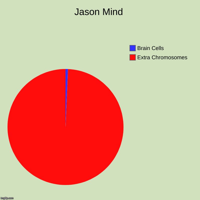 Jason Mind | Extra Chromosomes, Brain Cells | image tagged in charts,pie charts | made w/ Imgflip chart maker