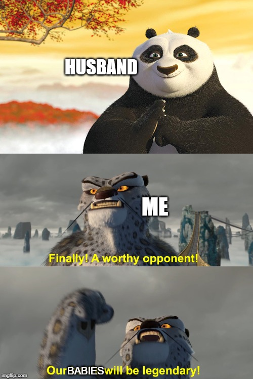 HUSBAND; ME; BABIES | image tagged in husband,wife,spouse,finally,finally a worthy opponent,legendary | made w/ Imgflip meme maker