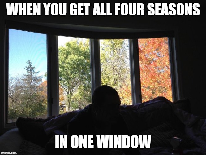 WHEN YOU GET ALL FOUR SEASONS; IN ONE WINDOW | made w/ Imgflip meme maker
