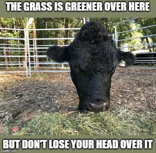 THE GRASS IS GREENER OVER HERE; BUT DON'T LOSE YOUR HEAD OVER IT | made w/ Imgflip meme maker