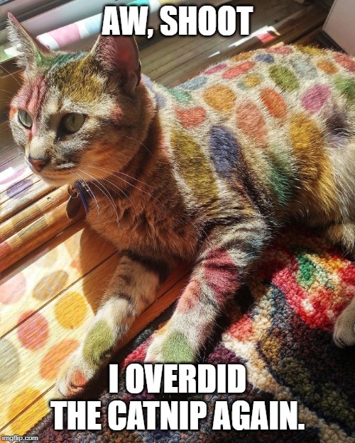 AW, SHOOT; I OVERDID THE CATNIP AGAIN. | image tagged in memes,catnip,cat,spots,colors,cute | made w/ Imgflip meme maker