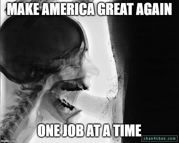 MAKE AMERICA GREAT AGAIN ONE JOB AT A TIME | image tagged in xray blowjob 2 | made w/ Imgflip meme maker