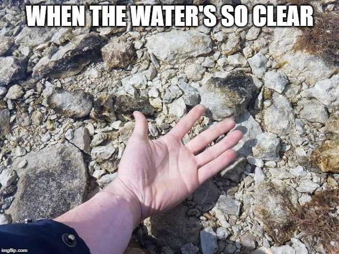 WHEN THE WATER'S SO CLEAR | made w/ Imgflip meme maker