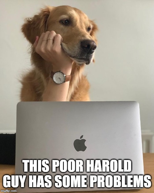 THIS POOR HAROLD GUY HAS SOME PROBLEMS | made w/ Imgflip meme maker