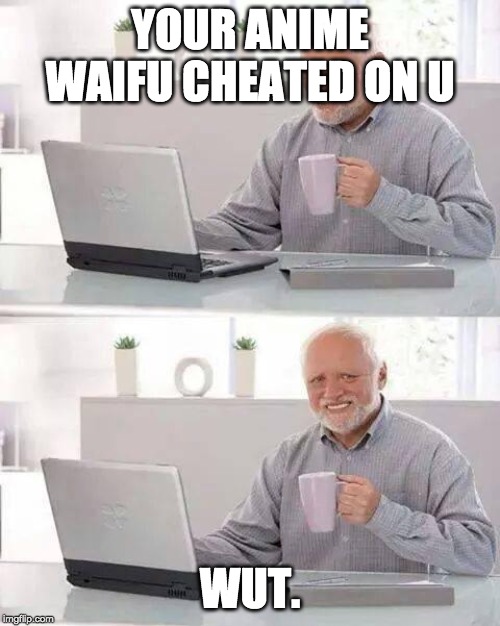 Hide the Pain Harold Meme | YOUR ANIME WAIFU CHEATED ON U; WUT. | image tagged in memes,hide the pain harold | made w/ Imgflip meme maker