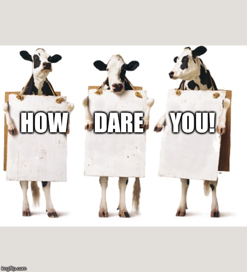 Chick-fil-A 3-cow billboard | HOW      DARE      YOU! | image tagged in chick-fil-a 3-cow billboard | made w/ Imgflip meme maker
