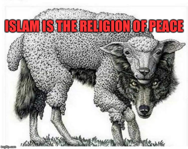 Matthew 7:15-20 | ISLAM IS THE RELIGION OF PEACE | image tagged in anti-islamophobia | made w/ Imgflip meme maker
