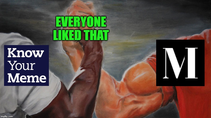 epic hand shake | EVERYONE LIKED THAT | image tagged in epic hand shake | made w/ Imgflip meme maker
