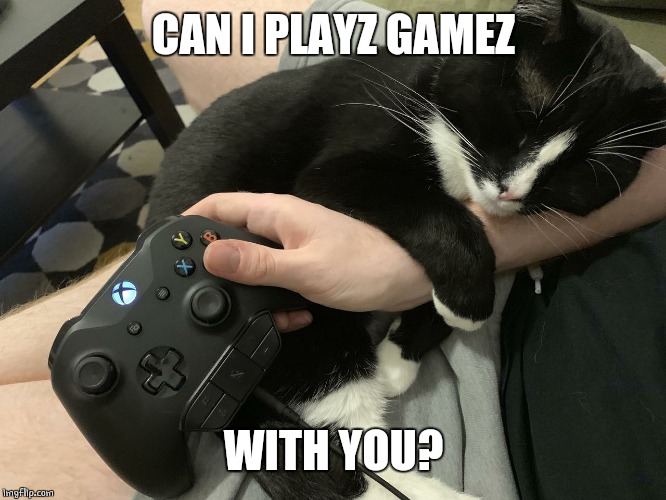GAMER CAT | CAN I PLAYZ GAMEZ; WITH YOU? | image tagged in cats,funny cats | made w/ Imgflip meme maker
