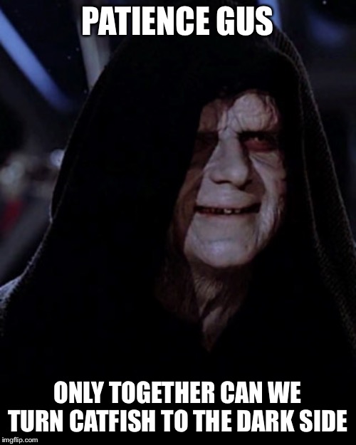 Emporer Palpatine | PATIENCE GUS; ONLY TOGETHER CAN WE TURN CATFISH TO THE DARK SIDE | image tagged in emporer palpatine | made w/ Imgflip meme maker