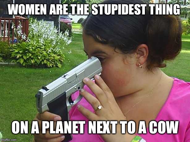 stupid | WOMEN ARE THE STUPIDEST THING; ON A PLANET NEXT TO A COW | image tagged in stupid | made w/ Imgflip meme maker
