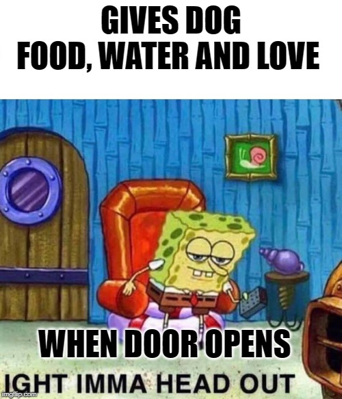 Spongebob Ight Imma Head Out Meme | GIVES DOG FOOD, WATER AND LOVE; WHEN DOOR OPENS | image tagged in spongebob ight imma head out | made w/ Imgflip meme maker