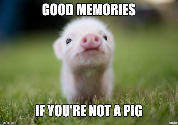 piglet | GOOD MEMORIES IF YOU'RE NOT A PIG | image tagged in piglet | made w/ Imgflip meme maker
