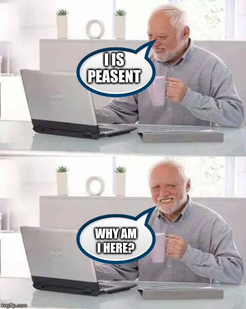Hide the Pain Harold Meme | I IS PEASENT; WHY AM I HERE? | image tagged in memes,hide the pain harold | made w/ Imgflip meme maker