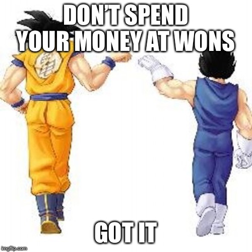 Dragon ball z bros | DON’T SPEND YOUR MONEY AT WONS; GOT IT | image tagged in dragon ball z bros | made w/ Imgflip meme maker