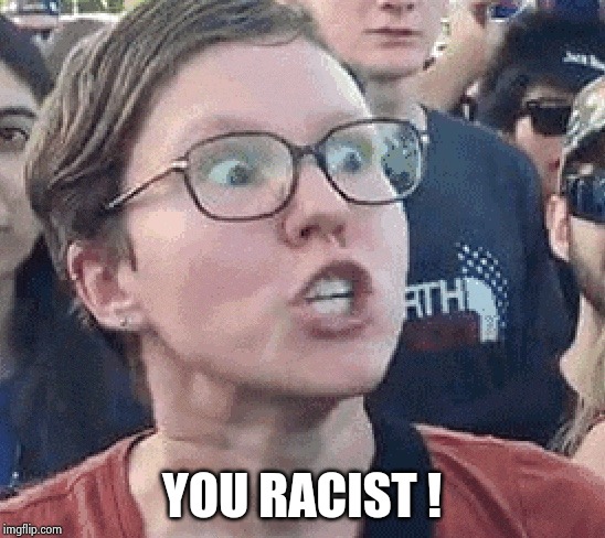 Triggered Liberal | YOU RACIST ! | image tagged in triggered liberal | made w/ Imgflip meme maker