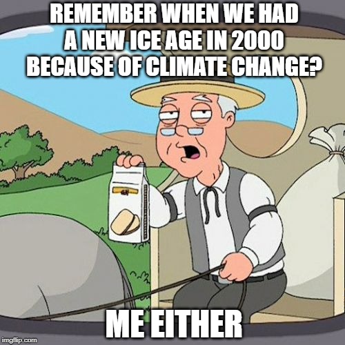 Pepperidge Farm Remembers | REMEMBER WHEN WE HAD A NEW ICE AGE IN 2000 BECAUSE OF CLIMATE CHANGE? ME EITHER | image tagged in memes,pepperidge farm remembers | made w/ Imgflip meme maker