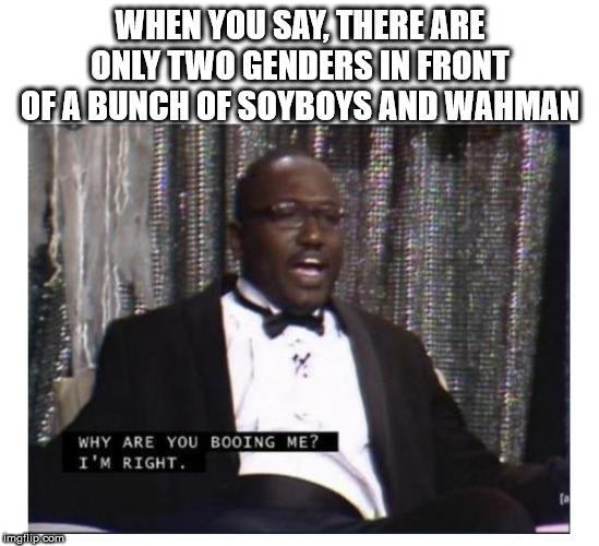 Im right | WHEN YOU SAY, THERE ARE ONLY TWO GENDERS IN FRONT OF A BUNCH OF SOYBOYS AND WAHMAN | image tagged in im right,sjws,gender identity,politics | made w/ Imgflip meme maker