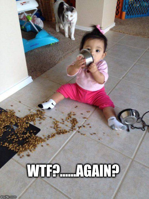 Cat get annoyed | WTF?......AGAIN? | image tagged in cat food,cat,baby food,funny meme | made w/ Imgflip meme maker