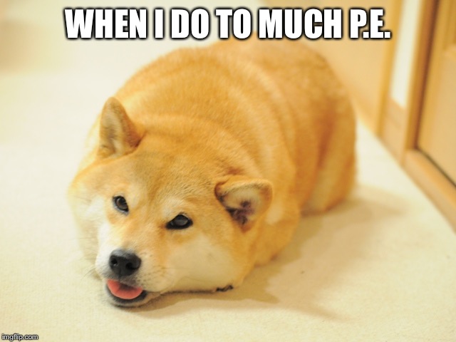 Tired or Hot doge | WHEN I DO TO MUCH P.E. | image tagged in tired or hot doge | made w/ Imgflip meme maker