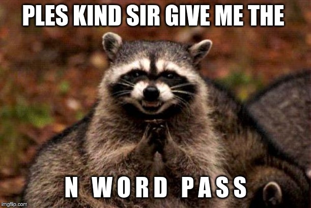 Evil Plotting Raccoon Meme | PLES KIND SIR GIVE ME THE; N   W O R D   P A S S | image tagged in memes,evil plotting raccoon | made w/ Imgflip meme maker