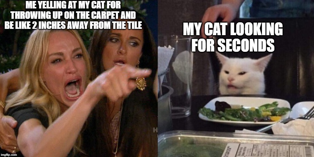 Woman yelling at cat | ME YELLING AT MY CAT FOR THROWING UP ON THE CARPET AND BE LIKE 2 INCHES AWAY FROM THE TILE; MY CAT LOOKING FOR SECONDS | image tagged in woman yelling at cat | made w/ Imgflip meme maker