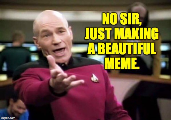 Picard Wtf Meme | NO SIR, JUST MAKING
A BEAUTIFUL
MEME. | image tagged in memes,picard wtf | made w/ Imgflip meme maker