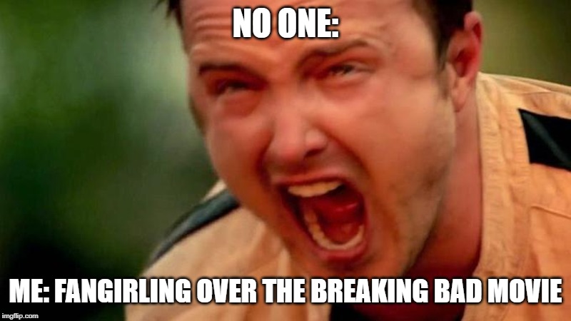 Breaking Bad Movie fangirl | NO ONE:; ME: FANGIRLING OVER THE BREAKING BAD MOVIE | image tagged in breaking bad | made w/ Imgflip meme maker