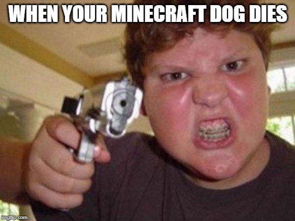 minecrafter | WHEN YOUR MINECRAFT DOG DIES | image tagged in minecrafter | made w/ Imgflip meme maker