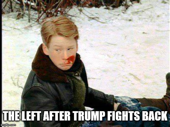 crying bully | THE LEFT AFTER TRUMP FIGHTS BACK | image tagged in crying bully | made w/ Imgflip meme maker