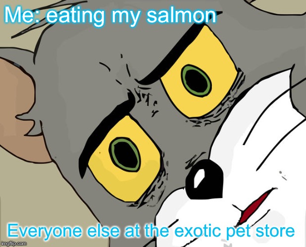 Unsettled Tom | Me: eating my salmon; Everyone else at the exotic pet store | image tagged in memes,unsettled tom | made w/ Imgflip meme maker
