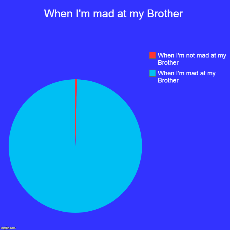 When I'm mad at my Brother | When I'm mad at my Brother, When I'm not mad at my Brother | image tagged in charts,pie charts | made w/ Imgflip chart maker