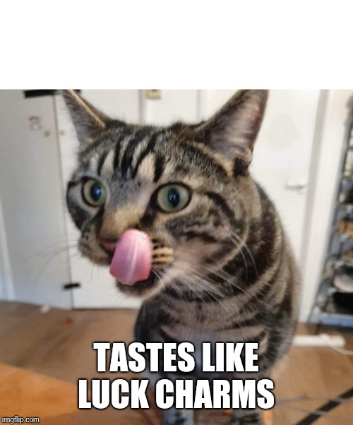 Cat licking itself | TASTES LIKE LUCK CHARMS | image tagged in cat licking itself | made w/ Imgflip meme maker