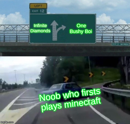Left Exit 12 Off Ramp | Infinite Diamonds; One Bushy Boi; Noob who firsts plays minecraft | image tagged in memes,left exit 12 off ramp | made w/ Imgflip meme maker