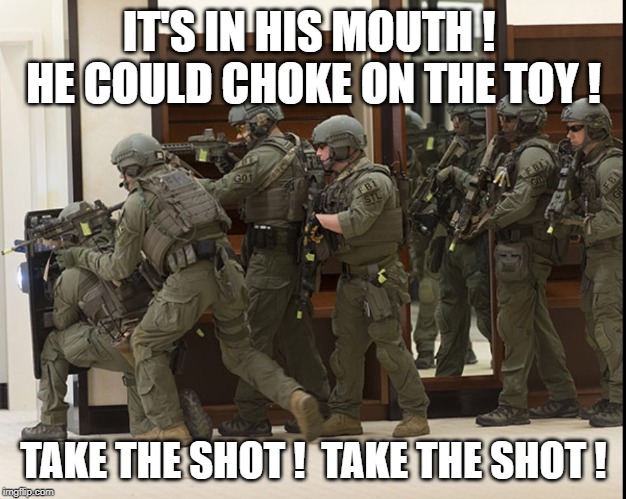 FBI SWAT | IT'S IN HIS MOUTH !  HE COULD CHOKE ON THE TOY ! TAKE THE SHOT !  TAKE THE SHOT ! | image tagged in fbi swat | made w/ Imgflip meme maker