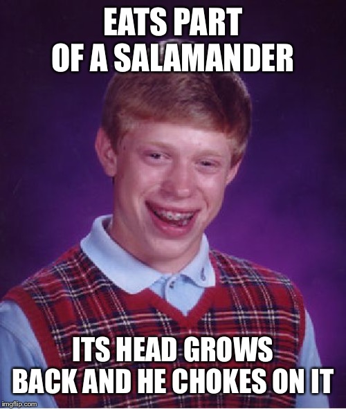 Bad Luck Brian Meme | EATS PART OF A SALAMANDER; ITS HEAD GROWS BACK AND HE CHOKES ON IT | image tagged in memes,bad luck brian | made w/ Imgflip meme maker