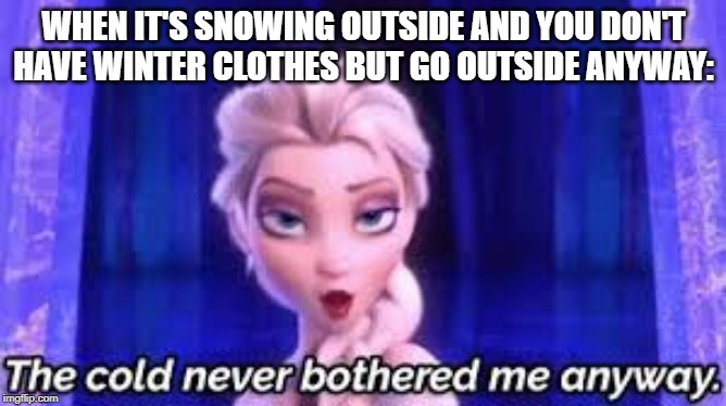 WHEN IT'S SNOWING OUTSIDE AND YOU DON'T HAVE WINTER CLOTHES BUT GO OUTSIDE ANYWAY: | image tagged in elsa frozen,memes | made w/ Imgflip meme maker