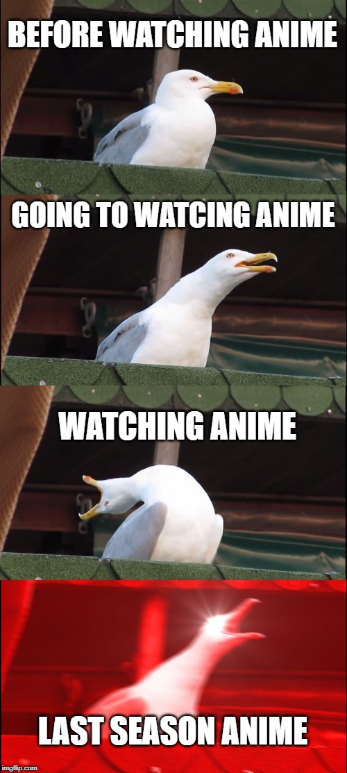 Inhaling Seagull | BEFORE WATCHING ANIME; GOING TO WATCING ANIME; WATCHING ANIME; LAST SEASON ANIME | image tagged in memes,inhaling seagull | made w/ Imgflip meme maker