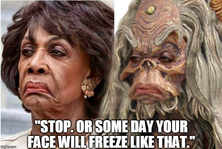 freeze face | "STOP. OR SOME DAY YOUR FACE WILL FREEZE LIKE THAT." | image tagged in maxine waters,maxie face | made w/ Imgflip meme maker