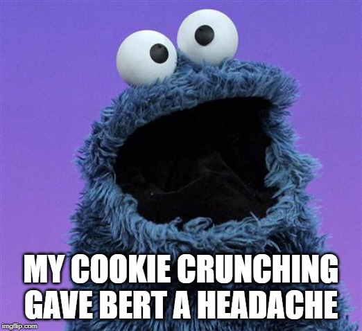 cookie monster | MY COOKIE CRUNCHING GAVE BERT A HEADACHE | image tagged in cookie monster | made w/ Imgflip meme maker