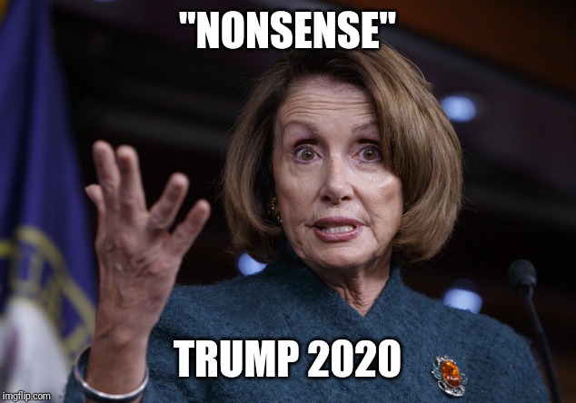 Good old Nancy Pelosi | "NONSENSE"; TRUMP 2020 | image tagged in good old nancy pelosi | made w/ Imgflip meme maker