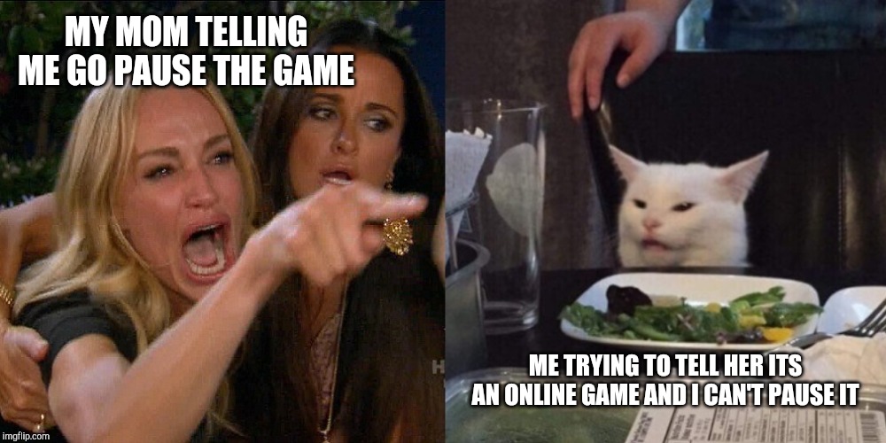 Woman yelling at cat | MY MOM TELLING ME GO PAUSE THE GAME; ME TRYING TO TELL HER ITS AN ONLINE GAME AND I CAN'T PAUSE IT | image tagged in woman yelling at cat | made w/ Imgflip meme maker