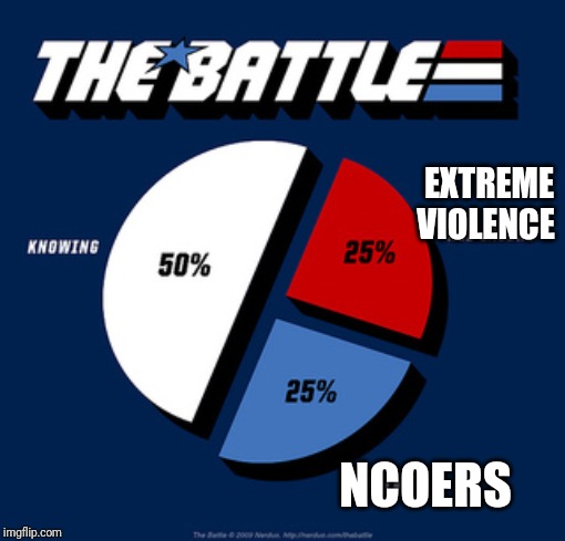 Knowing Pie Chart | EXTREME VIOLENCE; NCOERS | image tagged in knowing pie chart | made w/ Imgflip meme maker