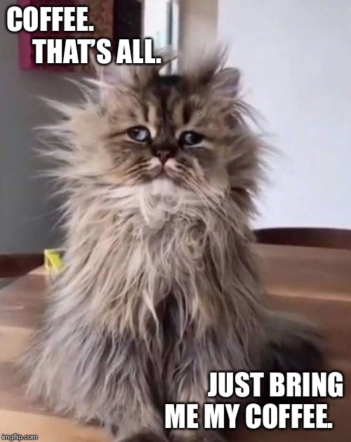 COFFEE.           THAT’S ALL. JUST BRING ME MY COFFEE. | made w/ Imgflip meme maker