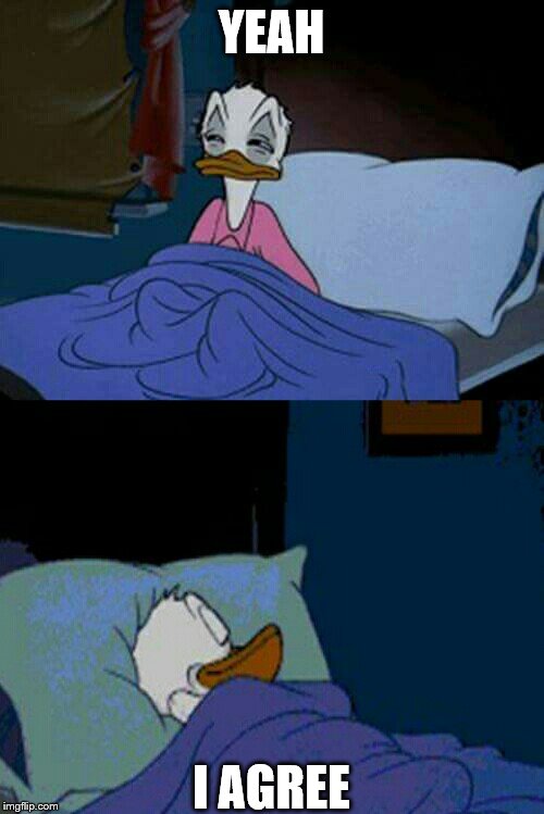 sleepy donald duck in bed | YEAH I AGREE | image tagged in sleepy donald duck in bed | made w/ Imgflip meme maker