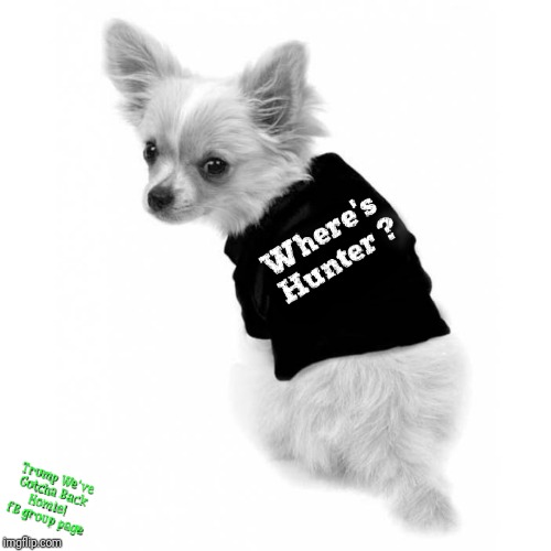 Where's Hunter Dog Shirt | image tagged in hunter biden,joe biden,trump rally,minnesota,minneapolis,impeachment meme | made w/ Imgflip meme maker