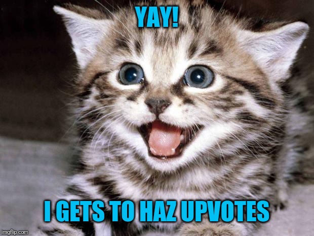 Cute Kitten Hopes | YAY! I GETS TO HAZ UPVOTES | image tagged in cute kitten hopes | made w/ Imgflip meme maker