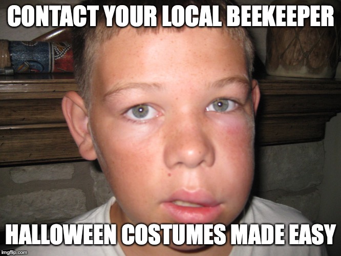 Costumes by Beekeepers | CONTACT YOUR LOCAL BEEKEEPER; HALLOWEEN COSTUMES MADE EASY | image tagged in beekeeping,happy halloween,costume,halloween costume,bee sting | made w/ Imgflip meme maker