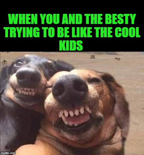 like the cool kids | WHEN YOU AND THE BESTY
TRYING TO BE LIKE THE COOL
KIDS | image tagged in selfie,funny,meme,dogs,smile,best friends | made w/ Imgflip meme maker