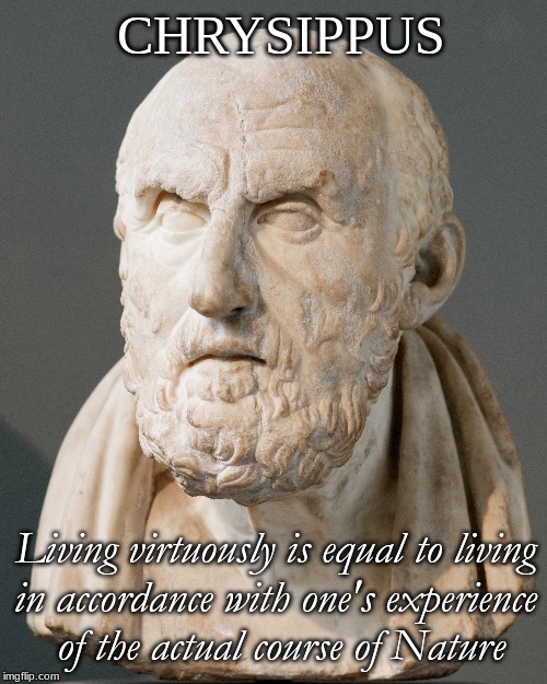 Living Virtuously | CHRYSIPPUS; Living virtuously is equal to living
in accordance with one's experience
 of the actual course of Nature | image tagged in quotes | made w/ Imgflip meme maker